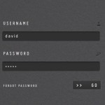 Clean Stylish Login Form