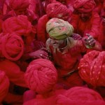 Rajasthan_HOLI_Festival_Steve_McCurry