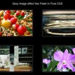 Sexy Image effect like Flash In pure CSS