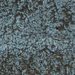 Asphalt Texture