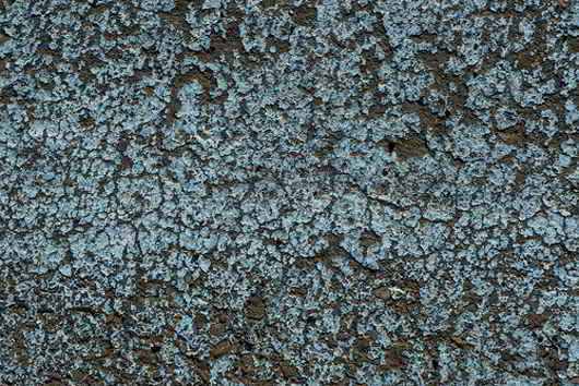 Asphalt Texture