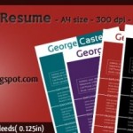 Elegant_resume