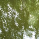 Green Water Texture