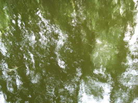 Green Water Texture