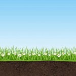 Nature_Background_with_Sky_Grass_and_Earth_