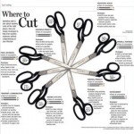 Where to Cut