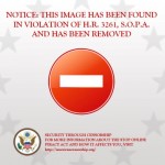 Image Violated SOPA