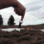 forced-perspective-11