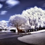 A different World in Infrared