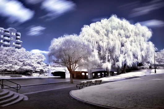 A different World in Infrared