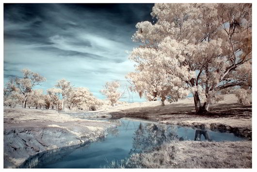 Dam Reflections