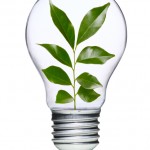 Light bulb with plant