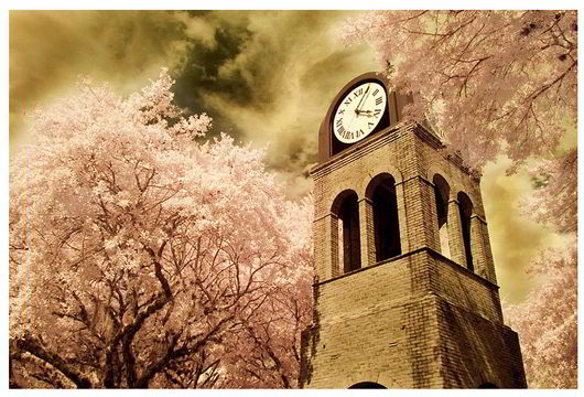 Infrared Photography by Hugo Cruz