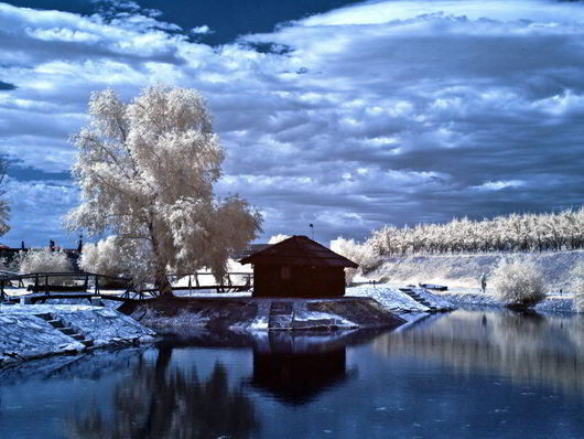 Infrared Pond