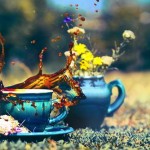 Coffee_Splash_by_Tamerlana