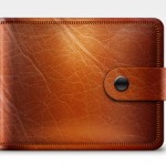 wallet-icon