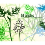 Dill Brushes