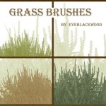 Grass Plant Brushes