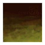 Lush Grass Brushes