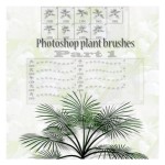 Photoshop Plant Brushes