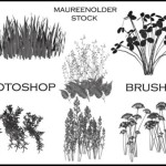 Stock Photoshop Brushes Plants