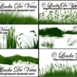 The Grass Lands