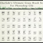 The Ultimate Collection of Grass Brush Set