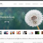 dandelion