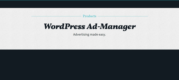 wordpress ad manager